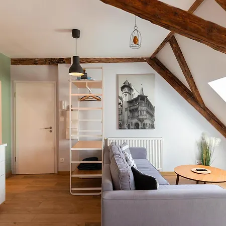 Historic Center - Belle Alsace 5 - 4 Etoiles * Colmar