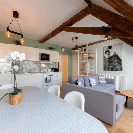 Apartament Historic Center - Belle Alsace 5 - 4 Etoiles