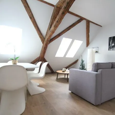 Apartamento Historic Center - Belle Alsace 5 - 4 Etoiles