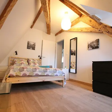 Historic Center - Belle Alsace 5 - 4 Etoiles Apartment *