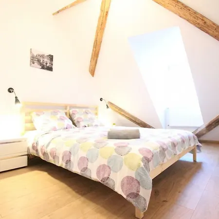 Lägenhet Historic Center - Belle Alsace 5 - 4 Etoiles Colmar