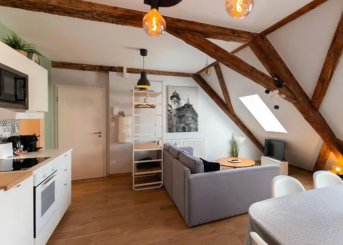 Historic Center - Belle Alsace 5 - 4 Etoiles *