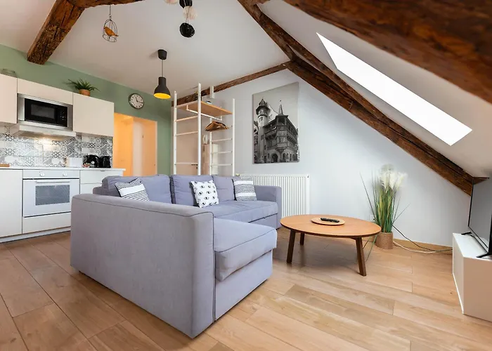 Apartamento Historic Center - Belle Alsace 5 - 4 Etoiles *